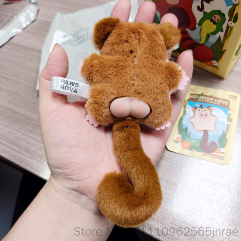 ตุ๊กตา Paws Nova ของแท้ รุ่น K - Nova Decor & Lighting Juletrelys บทวิจารณ์และราคา